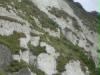 weisse felsen von dover